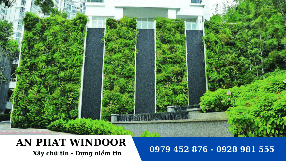 S&acirc;n vườn với tường c&acirc;y xanh
